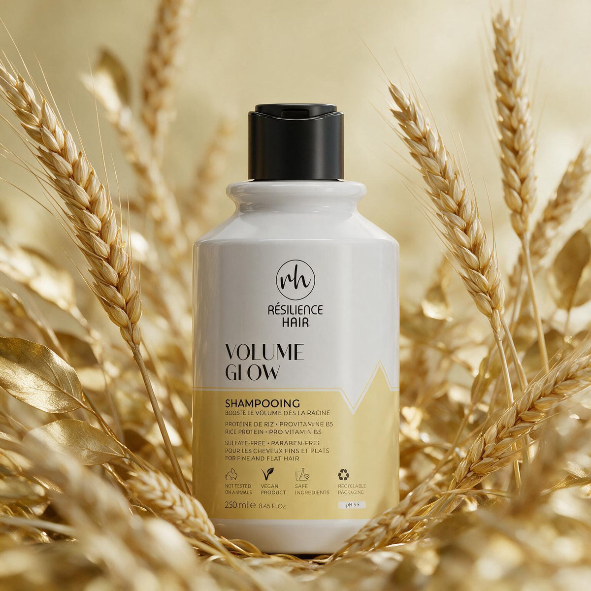 Volume Glow – Shampooing – 250 ml